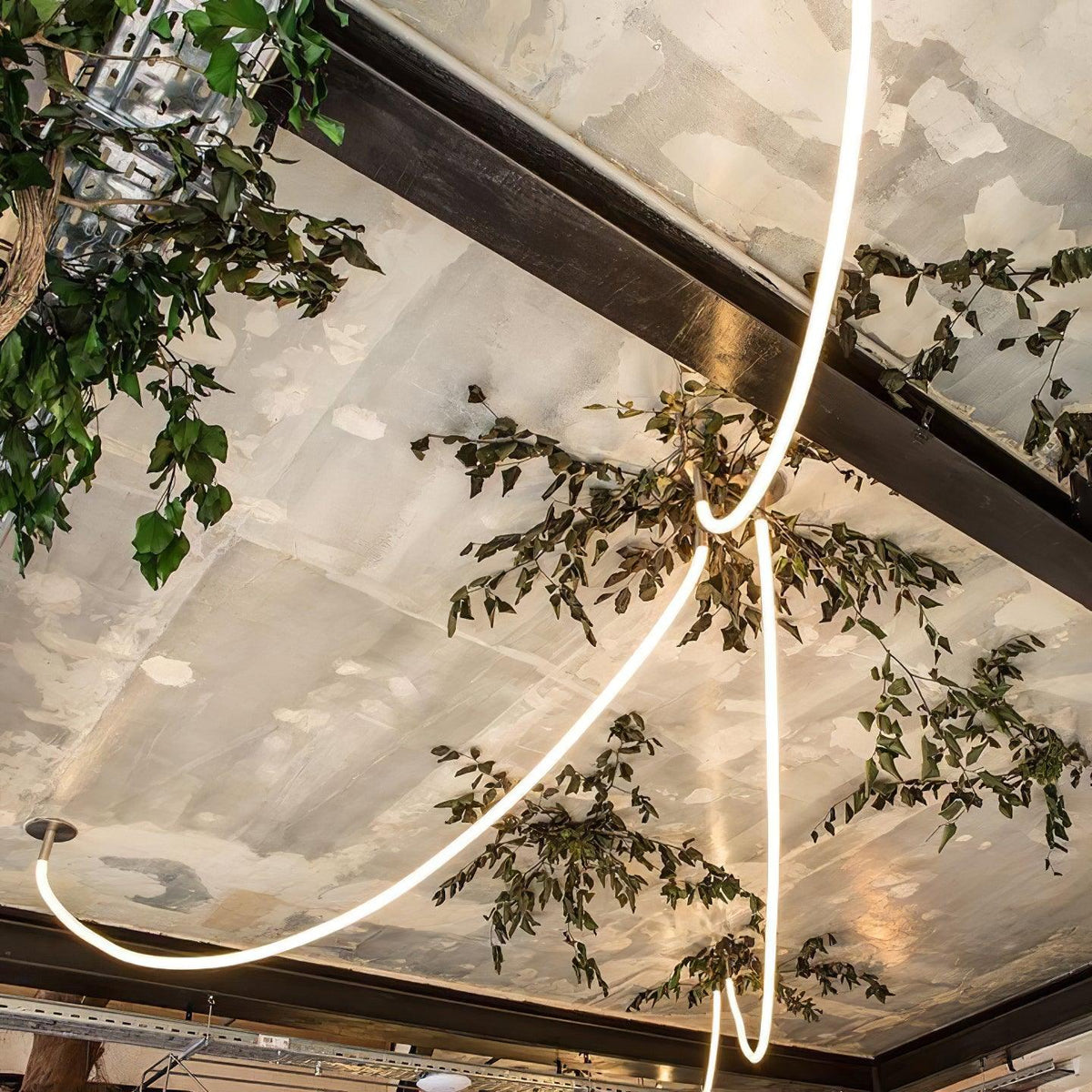 Softline Loop Pendant Light