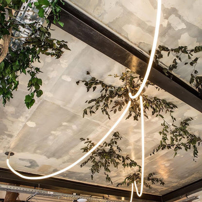 Softline Loop Pendant Light