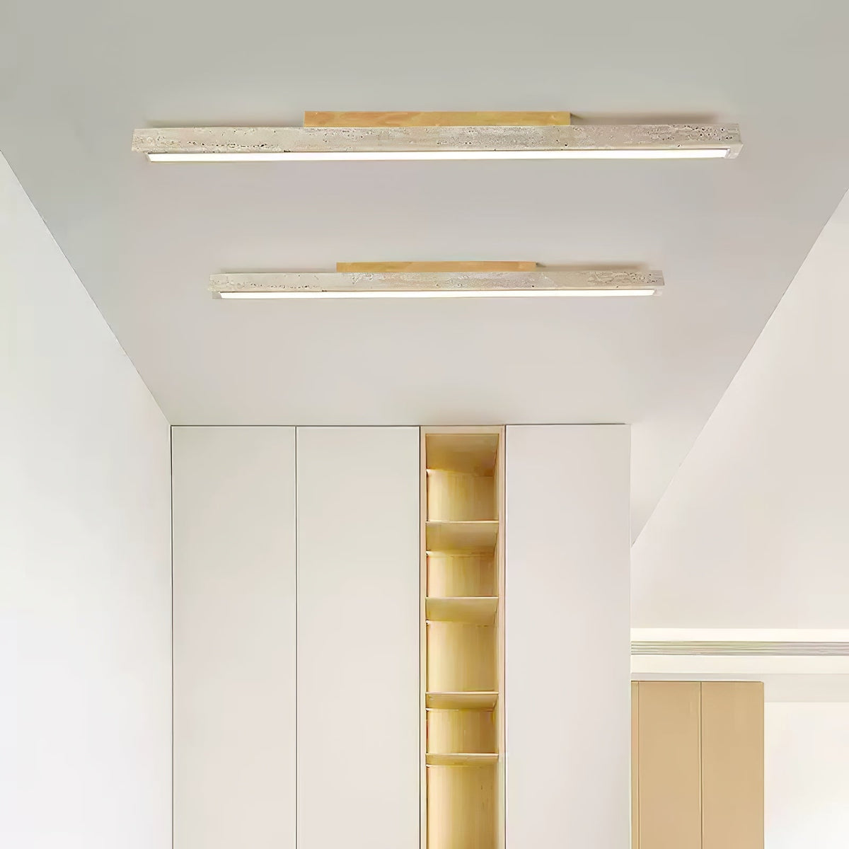 Stratum Rail Ceiling Light