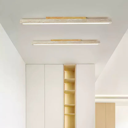 Stratum Rail Ceiling Light