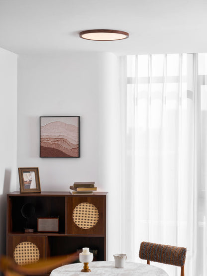 Fine Rim Ceiling Light