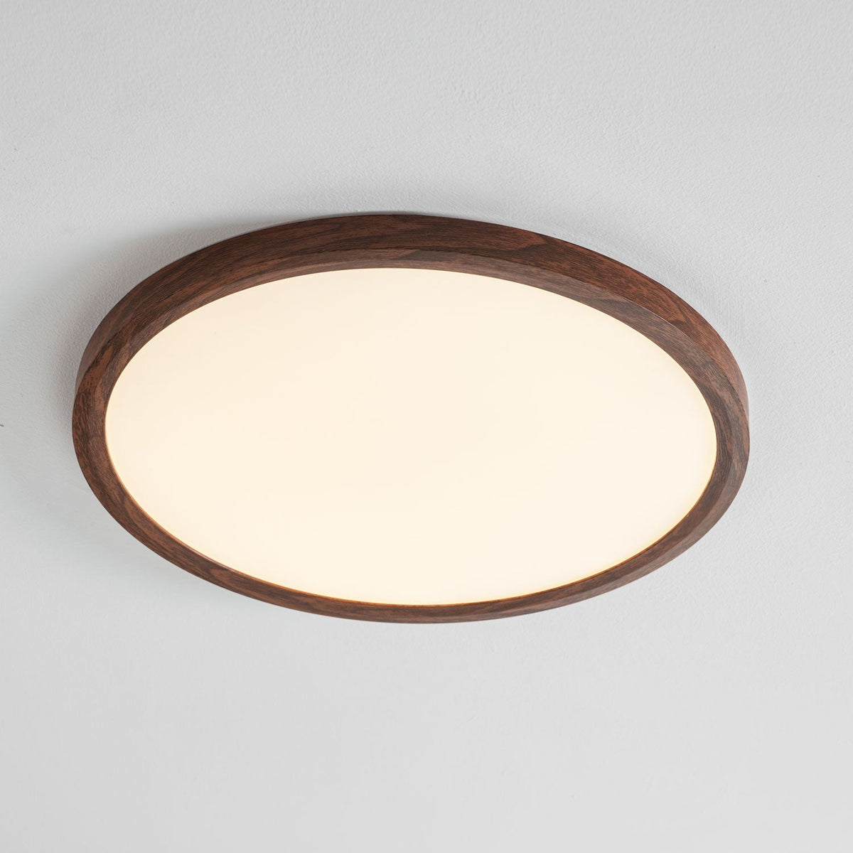 Fine Rim Ceiling Light