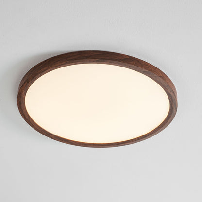 Fine Rim Ceiling Light