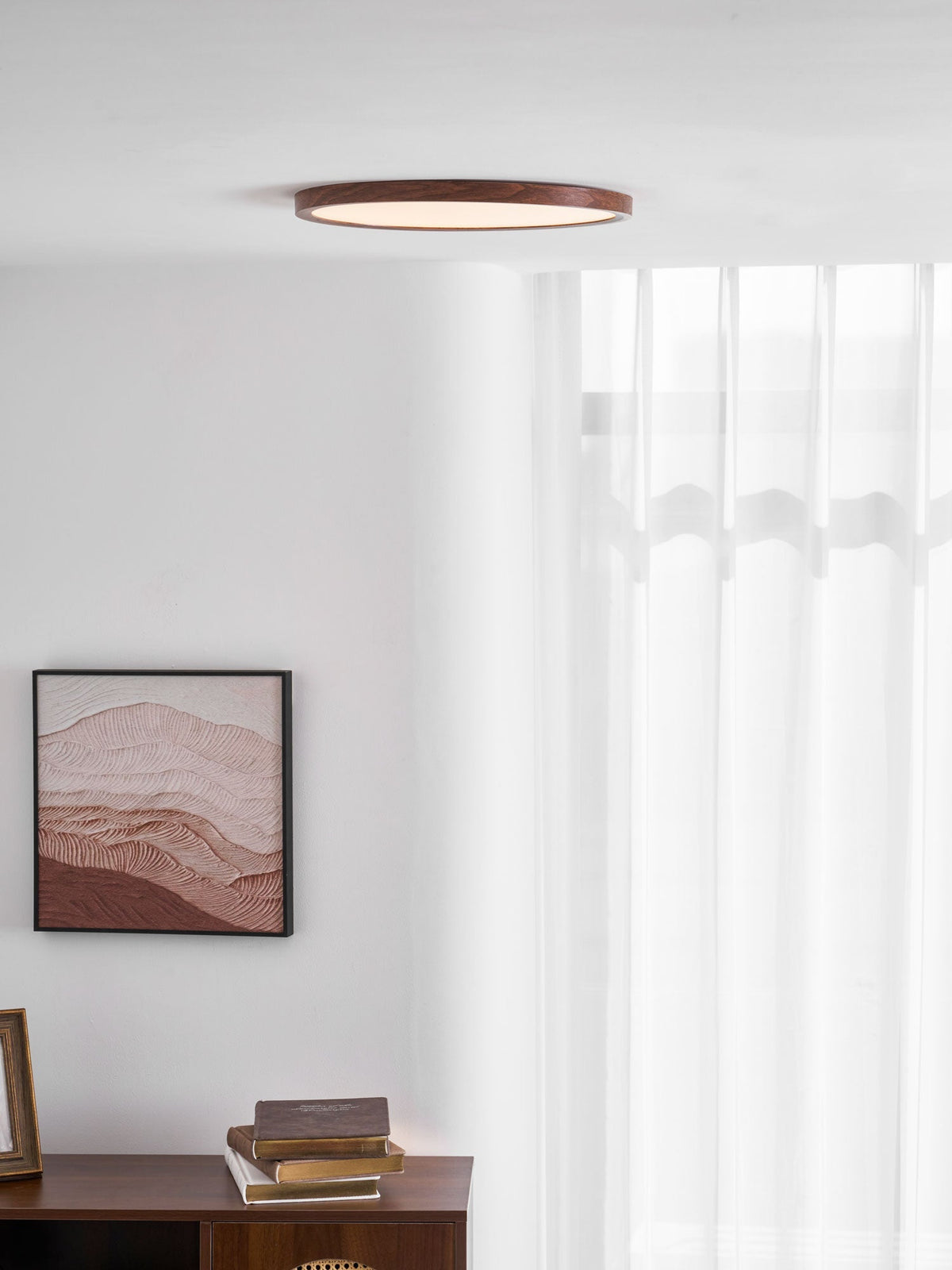 Fine Rim Ceiling Light