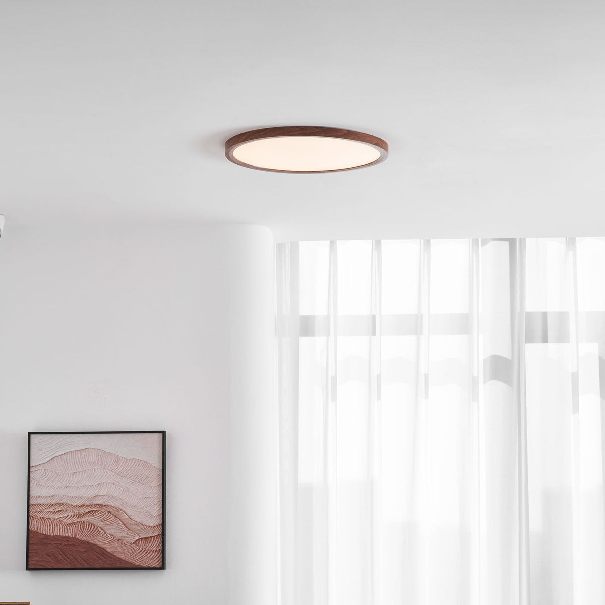 Fine Rim Ceiling Light