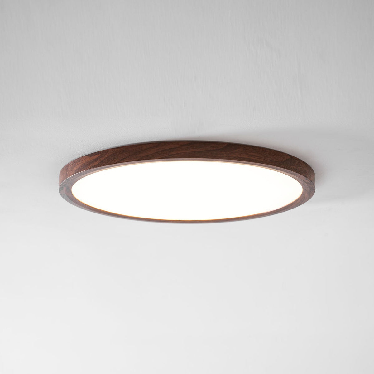 Fine Rim Ceiling Light
