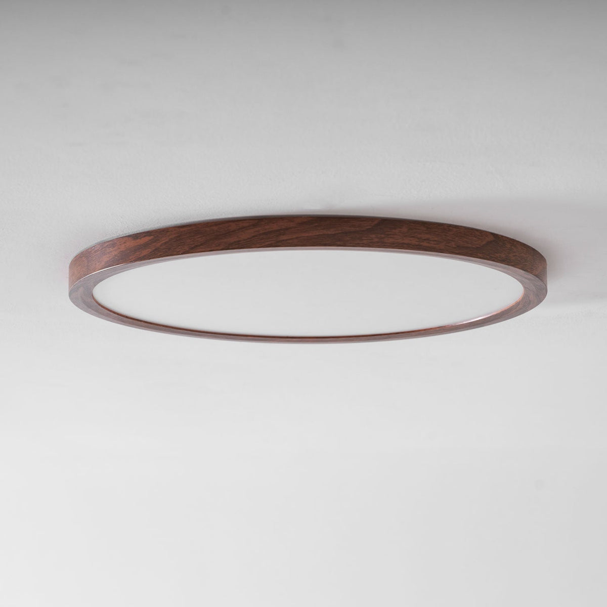 Fine Rim Ceiling Light