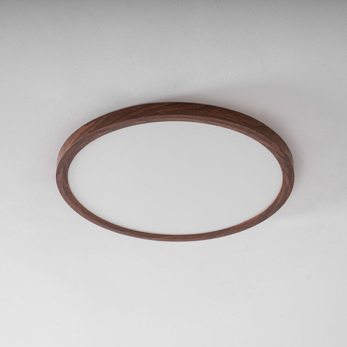Fine Rim Ceiling Light