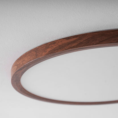 Fine Rim Ceiling Light