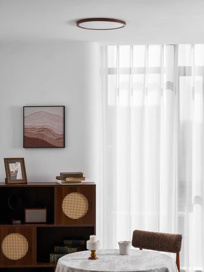 Fine Rim Ceiling Light