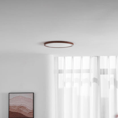 Fine Rim Ceiling Light