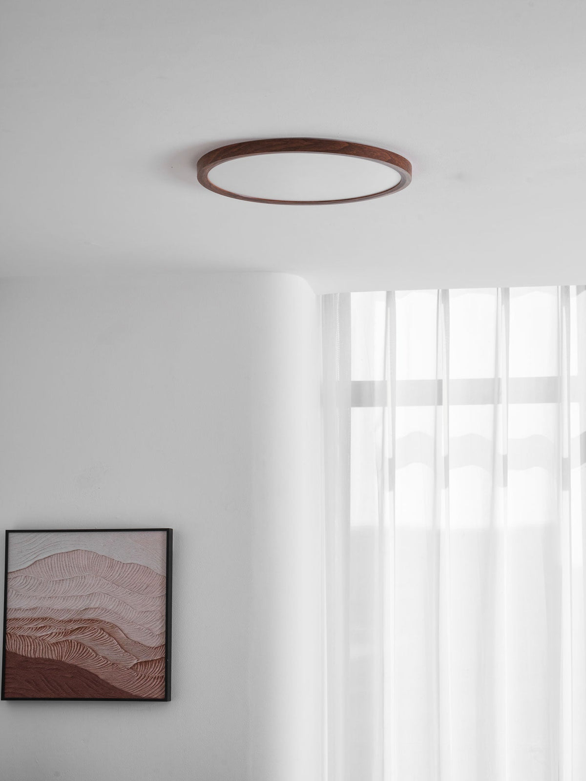 Fine Rim Ceiling Light