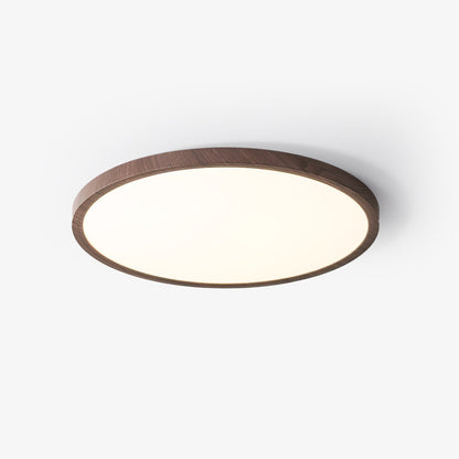 Fine Rim Ceiling Light