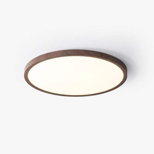 Fine Rim Ceiling Light