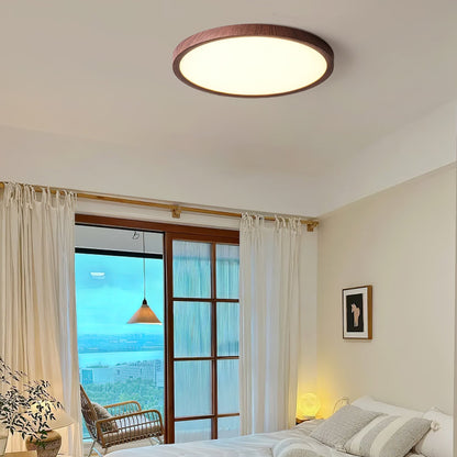 Fine Rim Ceiling Light