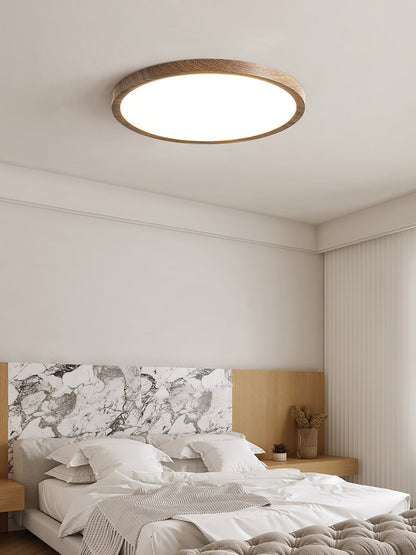 Fine Rim Ceiling Light