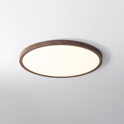 Fine Rim Ceiling Light