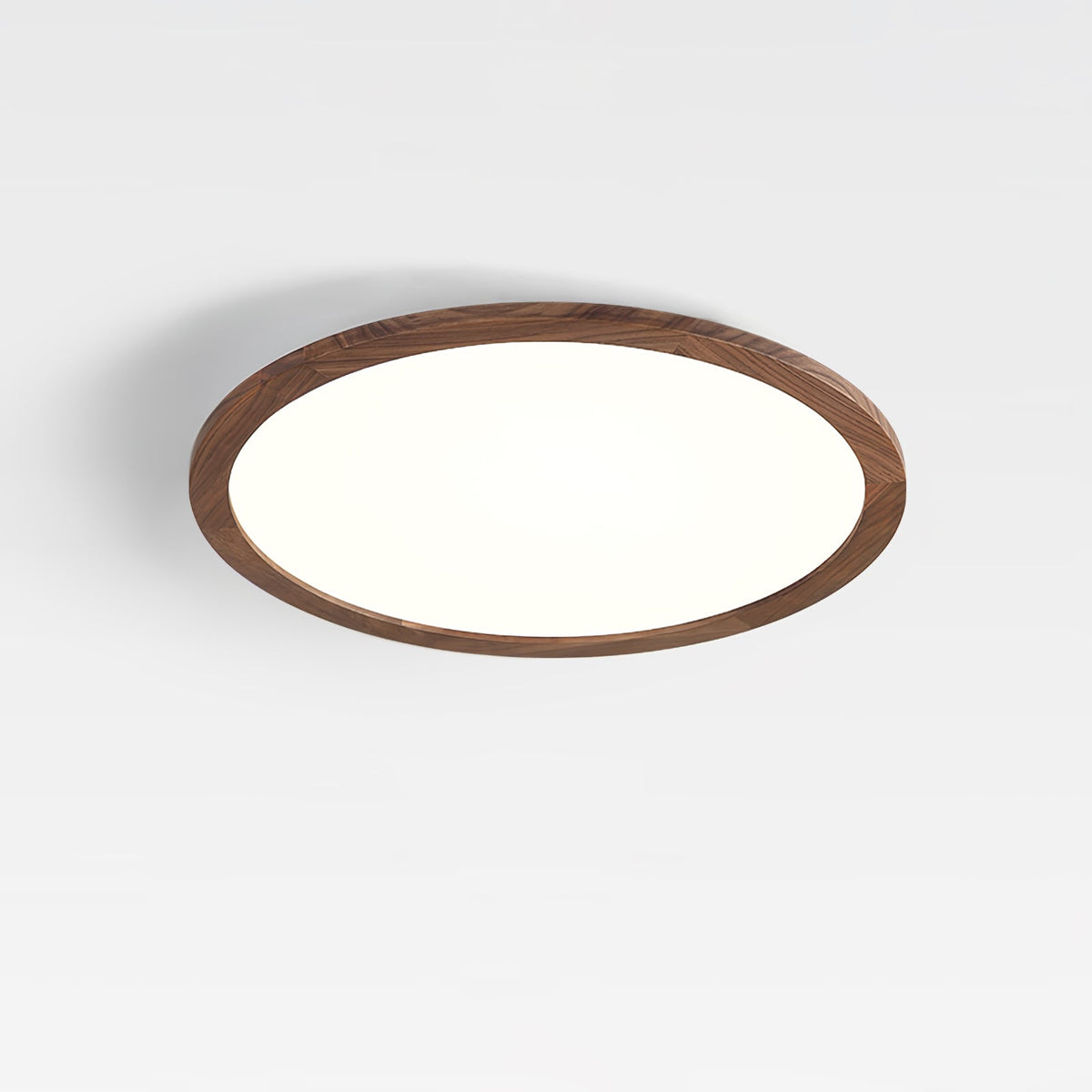 Fine Rim Ceiling Light