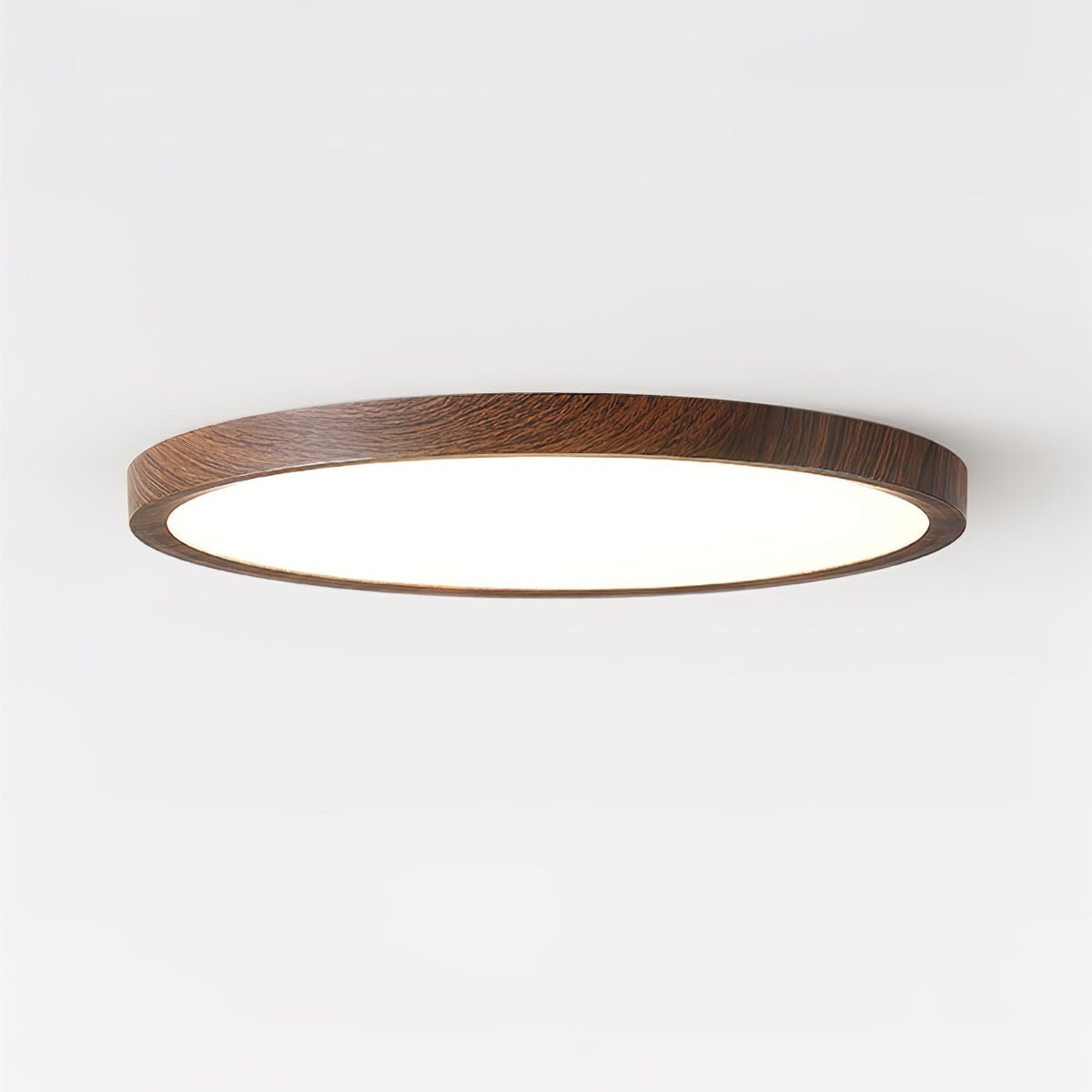 Fine Rim Ceiling Light