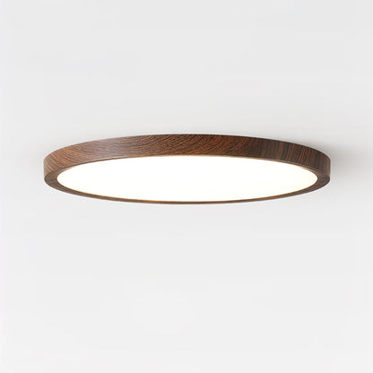 Fine Rim Ceiling Light