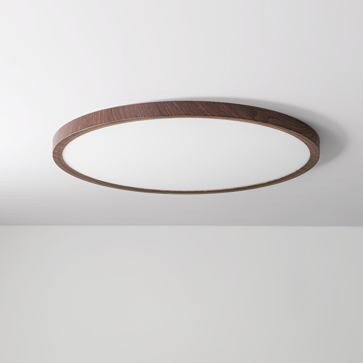 Fine Rim Ceiling Light