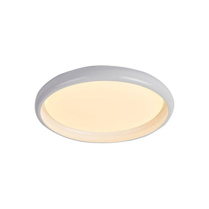 Grove Ring Ceiling Light