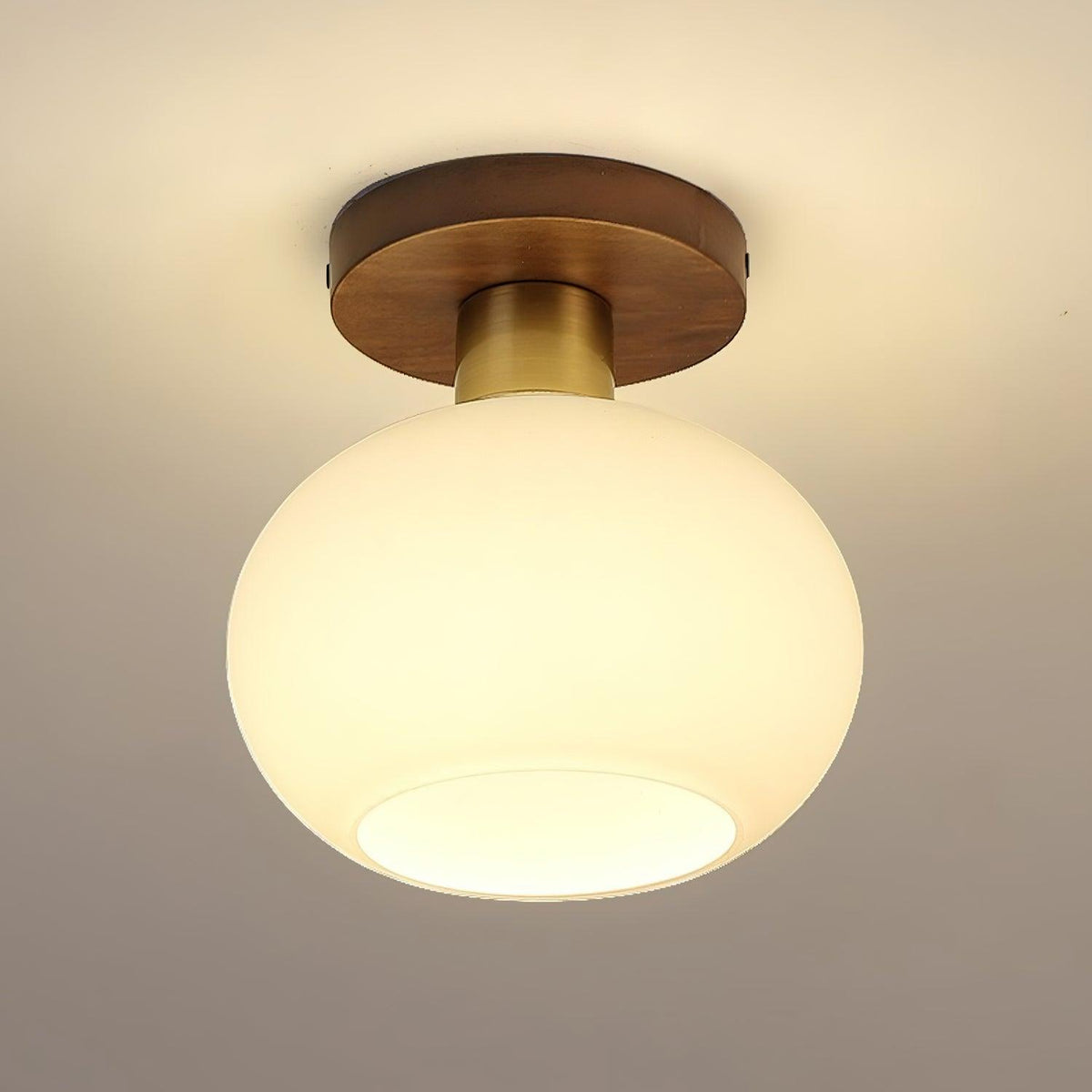 Still Globe Ceiling Light