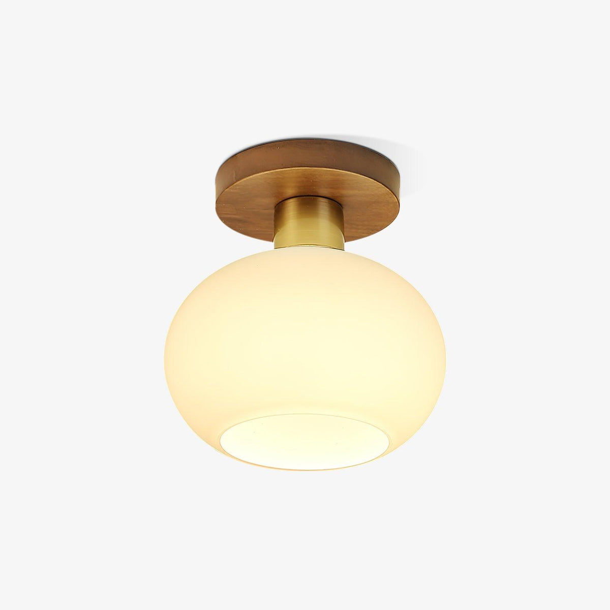 Still Globe Ceiling Light