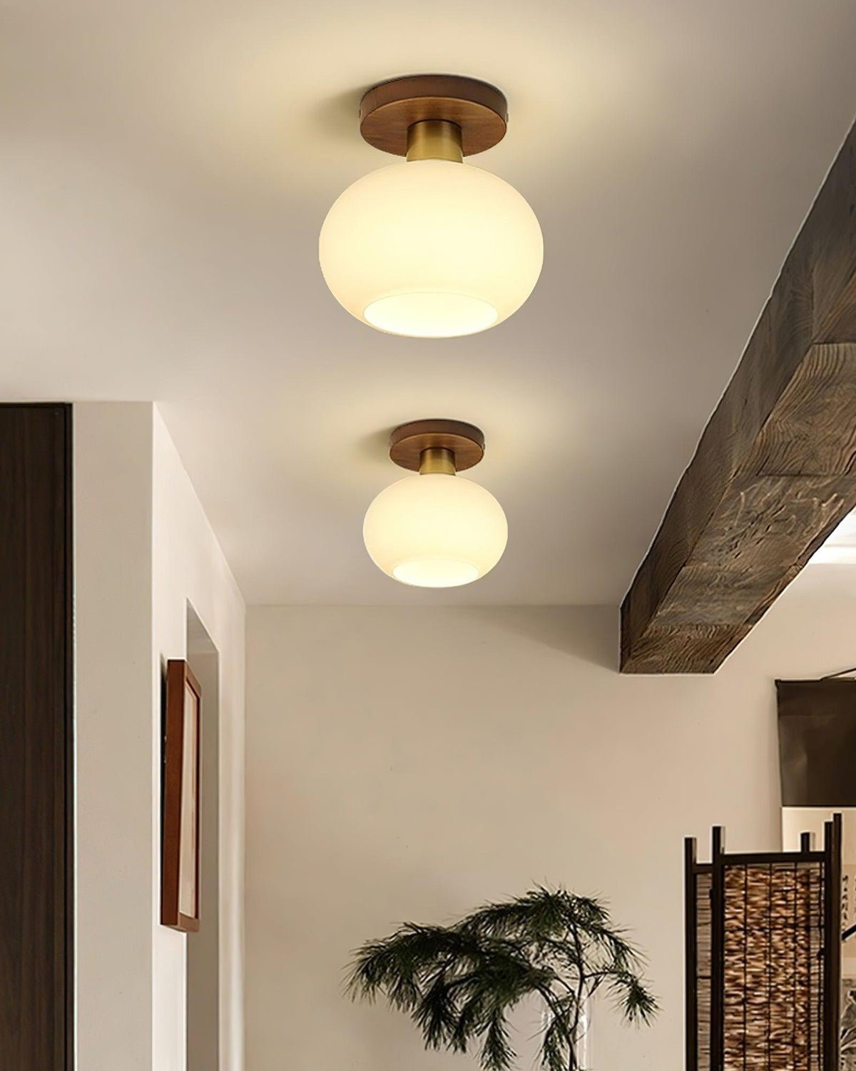 Still Globe Ceiling Light
