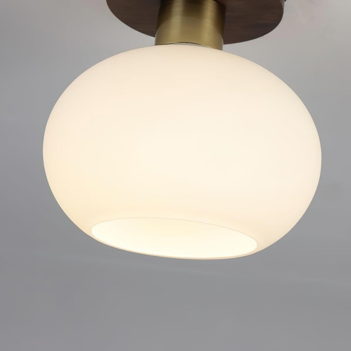 Still Globe Ceiling Light