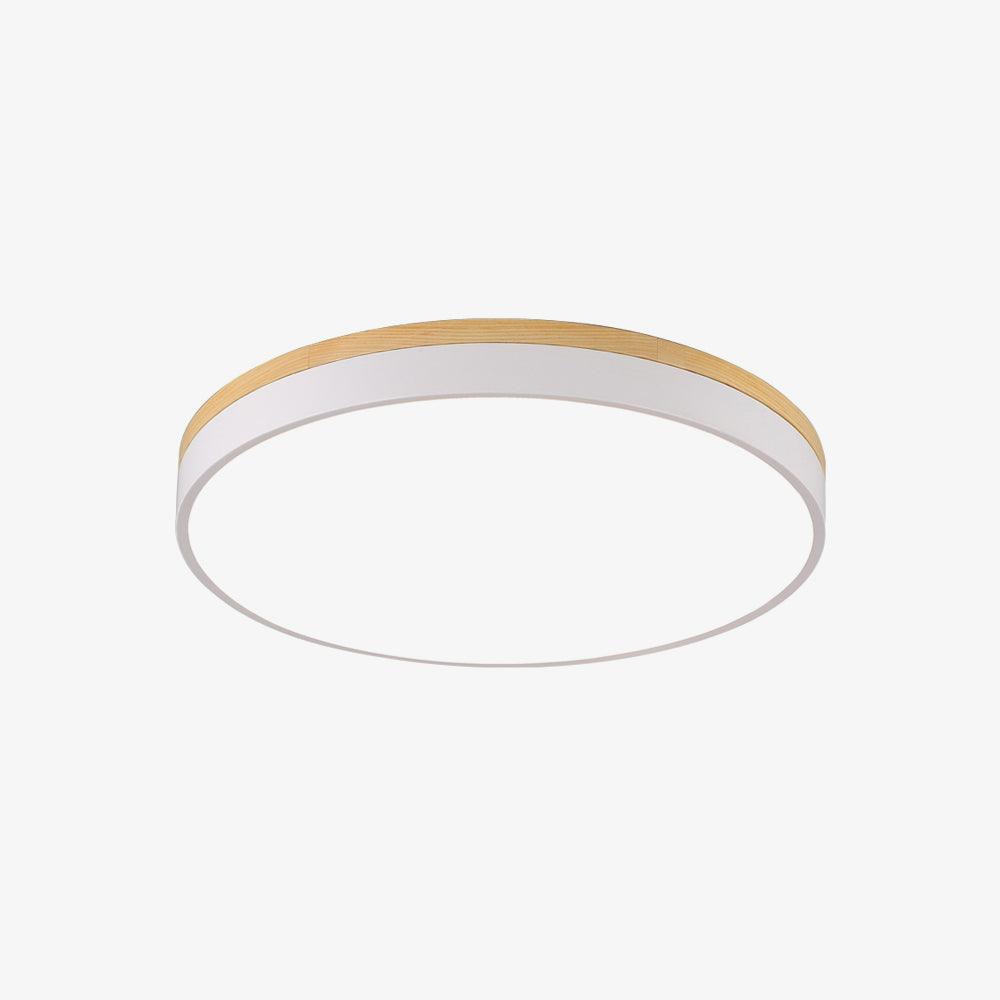 Ledge Round Ceiling Light