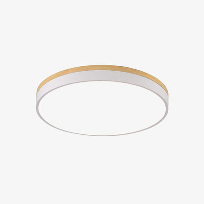 Ledge Round Ceiling Light