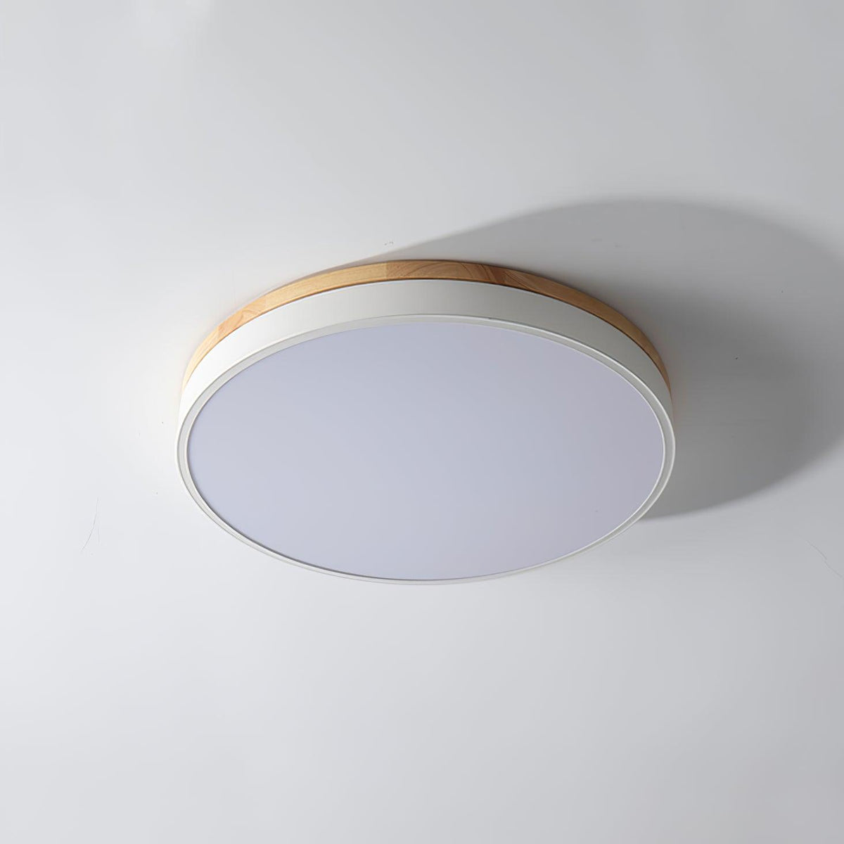 Ledge Round Ceiling Light