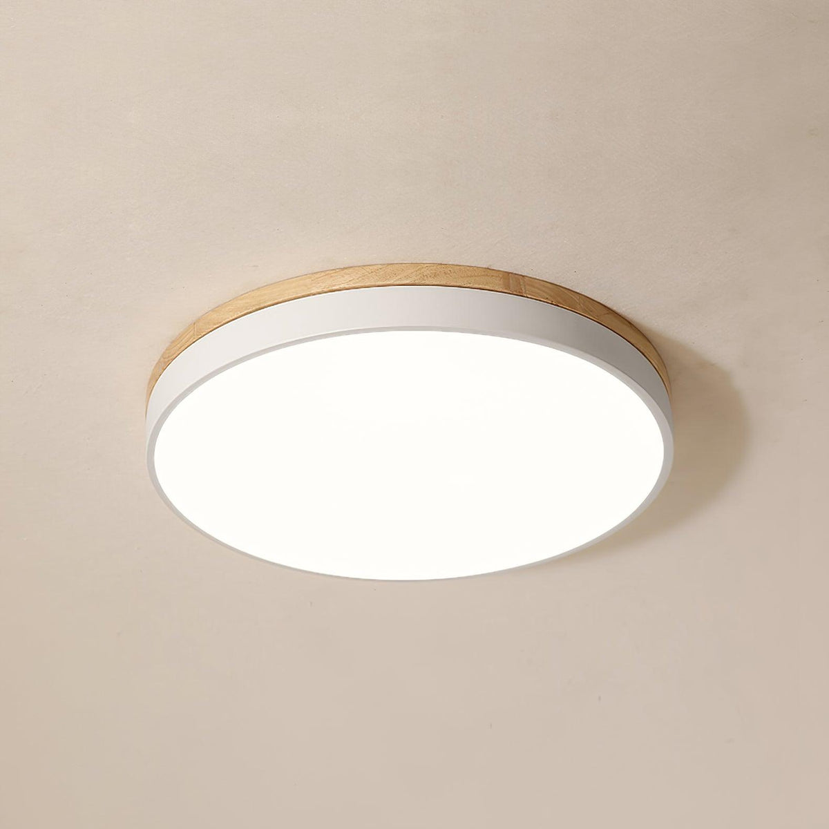 Ledge Round Ceiling Light