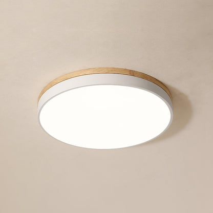 Ledge Round Ceiling Light