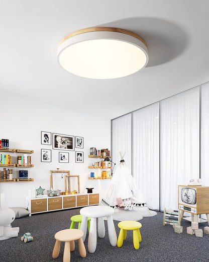 Ledge Round Ceiling Light