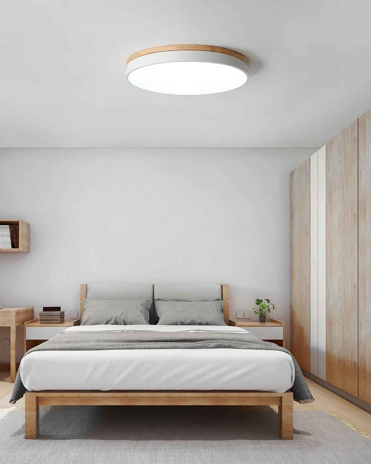 Ledge Round Ceiling Light