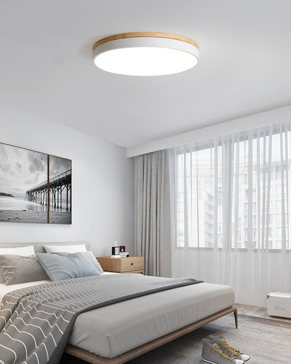 Ledge Round Ceiling Light