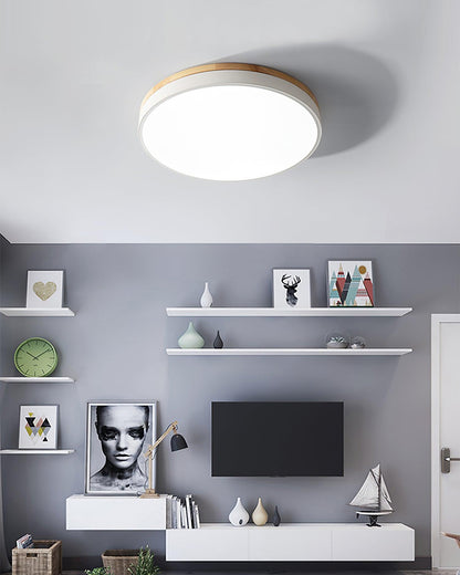 Ledge Round Ceiling Light