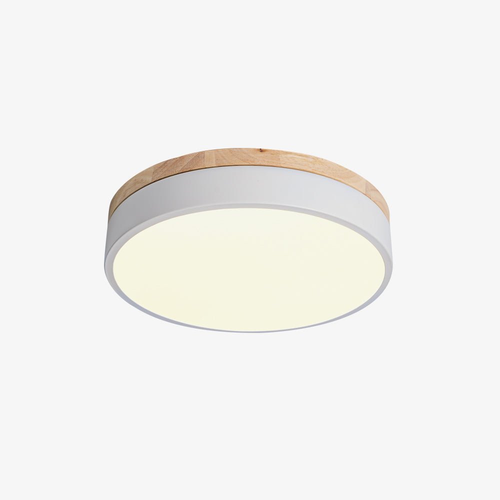Ledge Round Ceiling Light