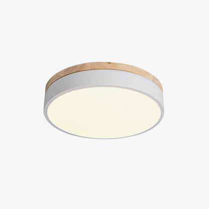Ledge Round Ceiling Light