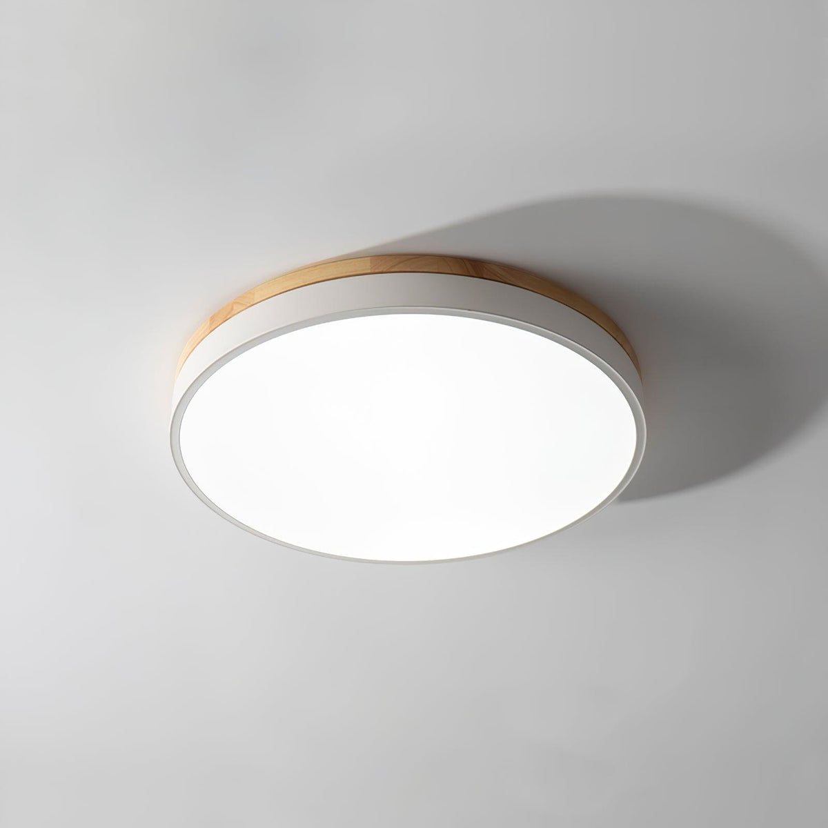 Ledge Round Ceiling Light