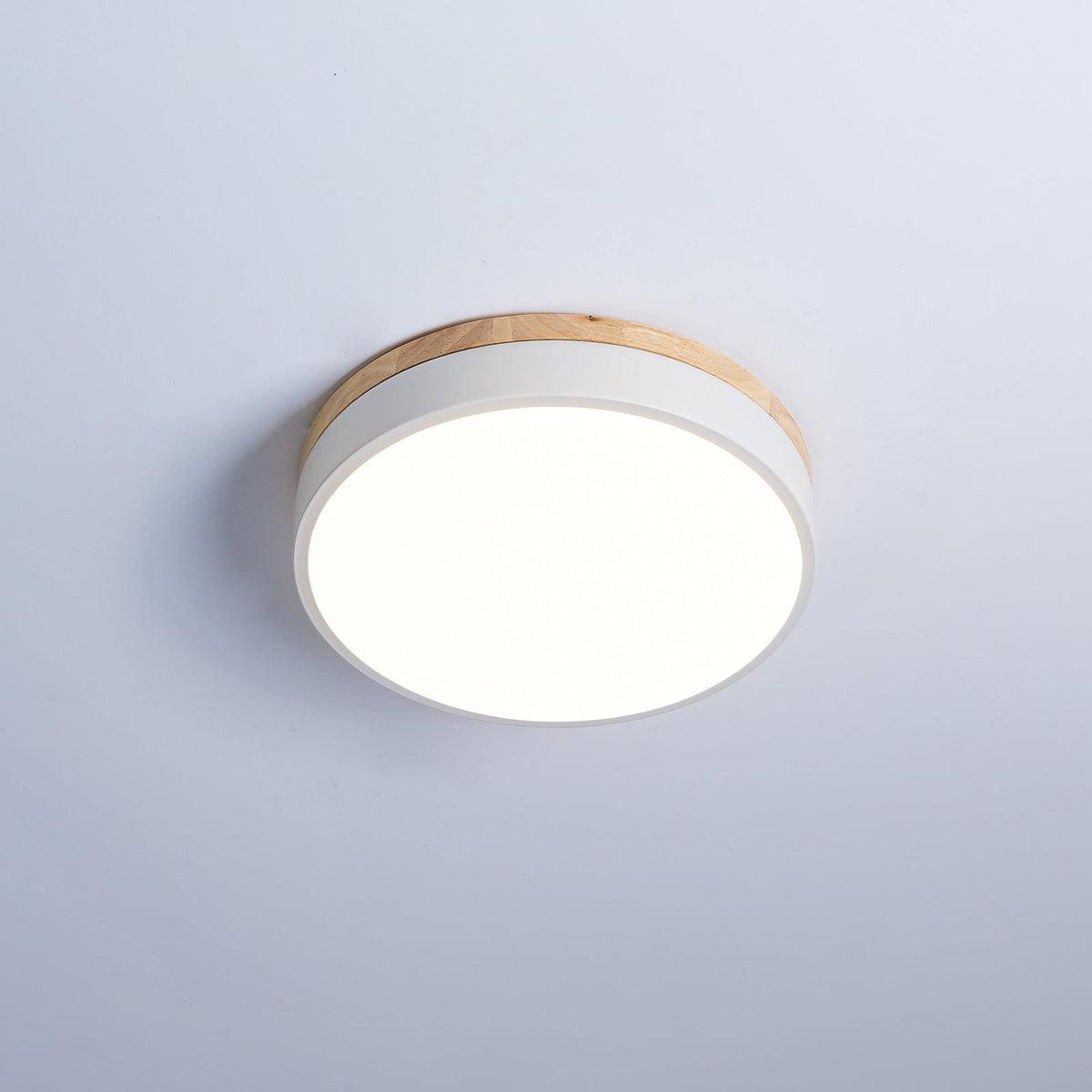 Ledge Round Ceiling Light