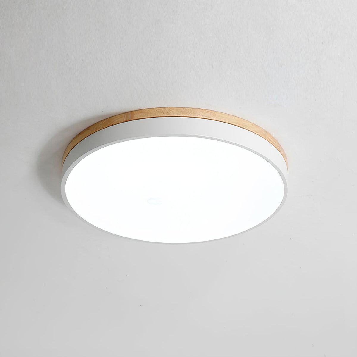Ledge Round Ceiling Light