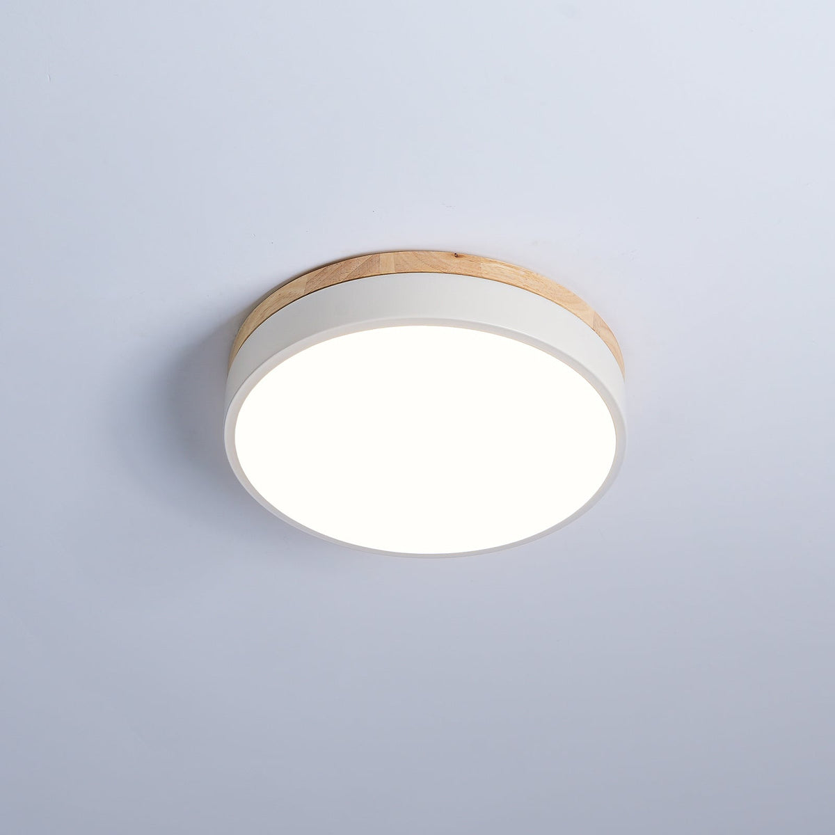 Ledge Round Ceiling Light