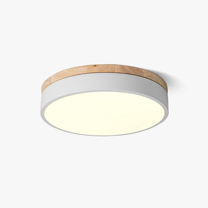 Ledge Round Ceiling Light