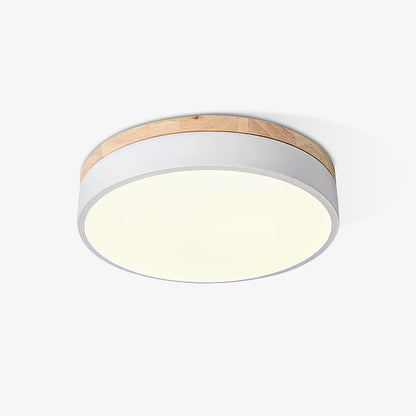 Ledge Round Ceiling Light