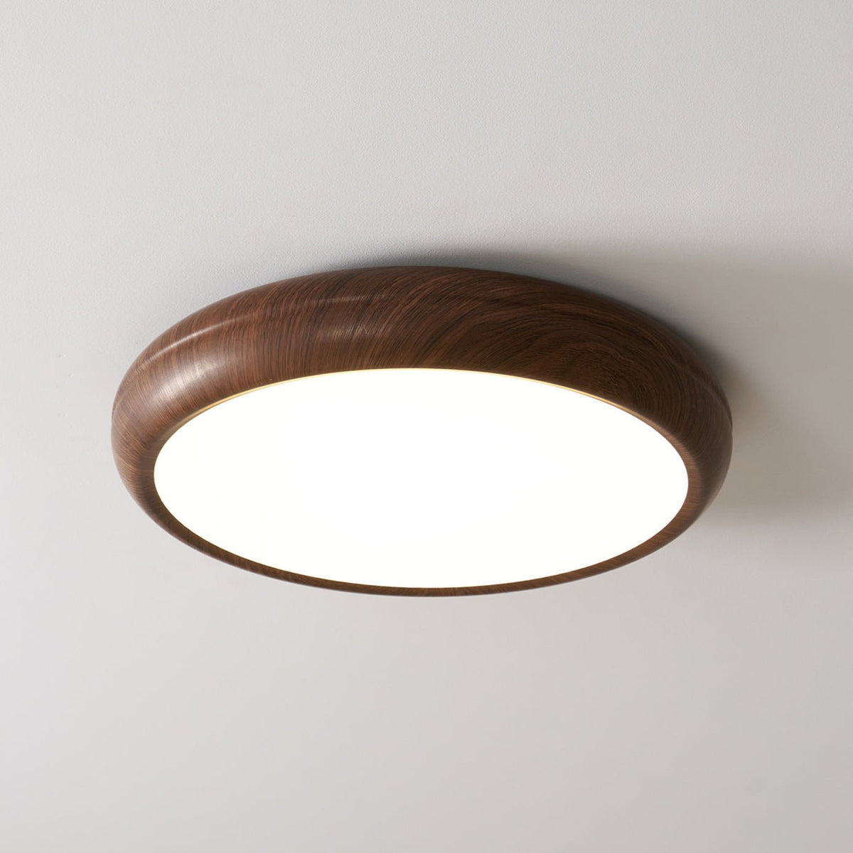Timberline Ceiling Light