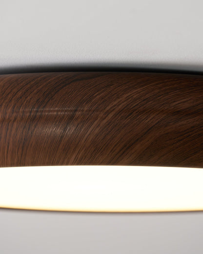 Timberline Ceiling Light