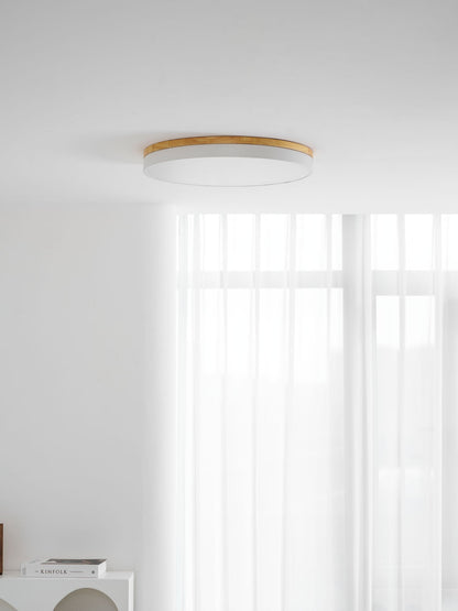 Still Timber Ceiling Light